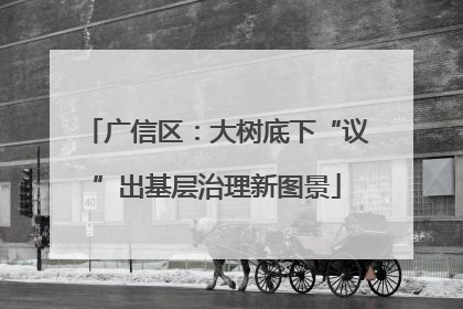 广信区：大树底下“议”出基层治理新图景
